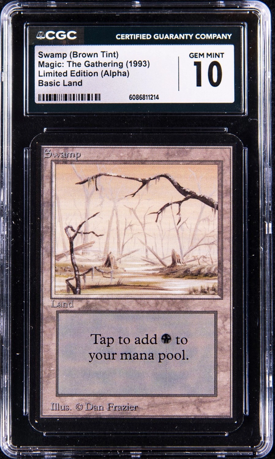 Swamp (Brown Tint)