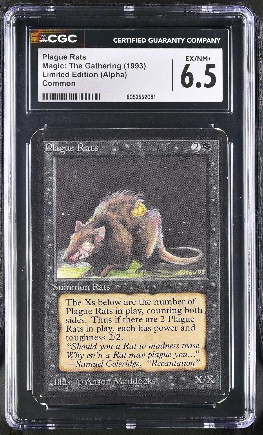 Plague Rats