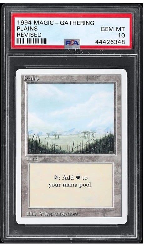 Plains (No Trees)