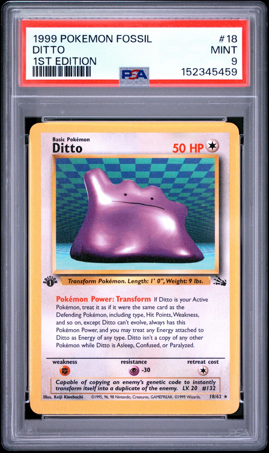 Ditto