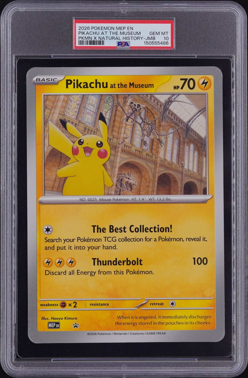 Pikachu At The Museum