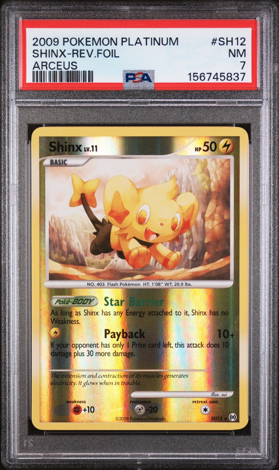 Shinx
