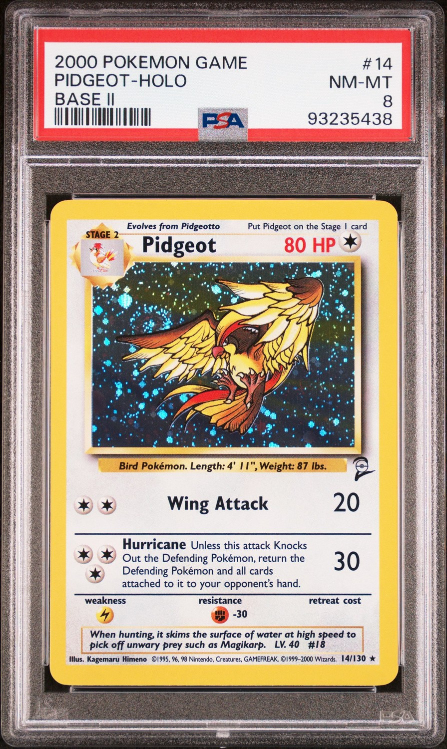 Pidgeot