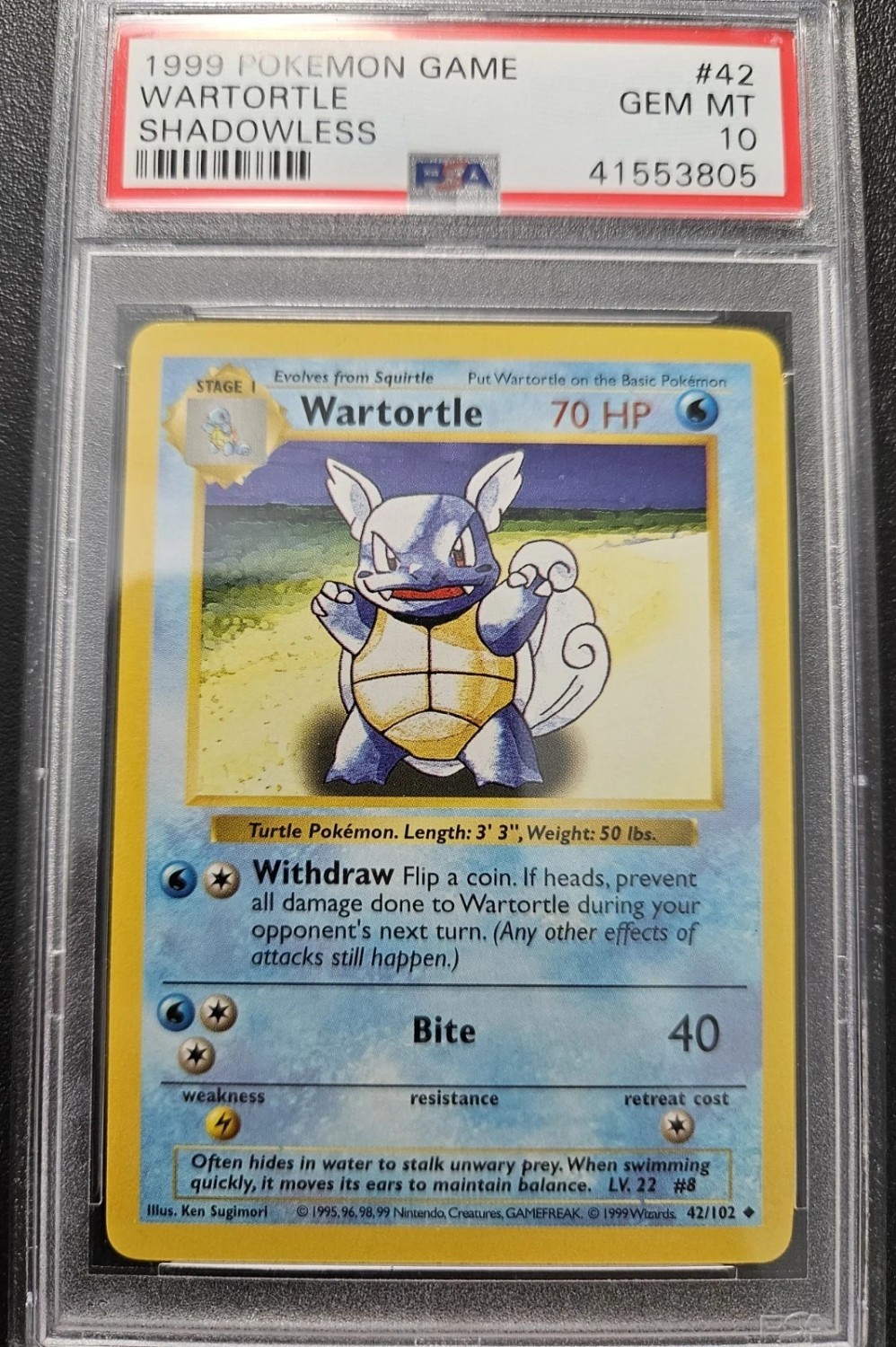 WARTORTLE