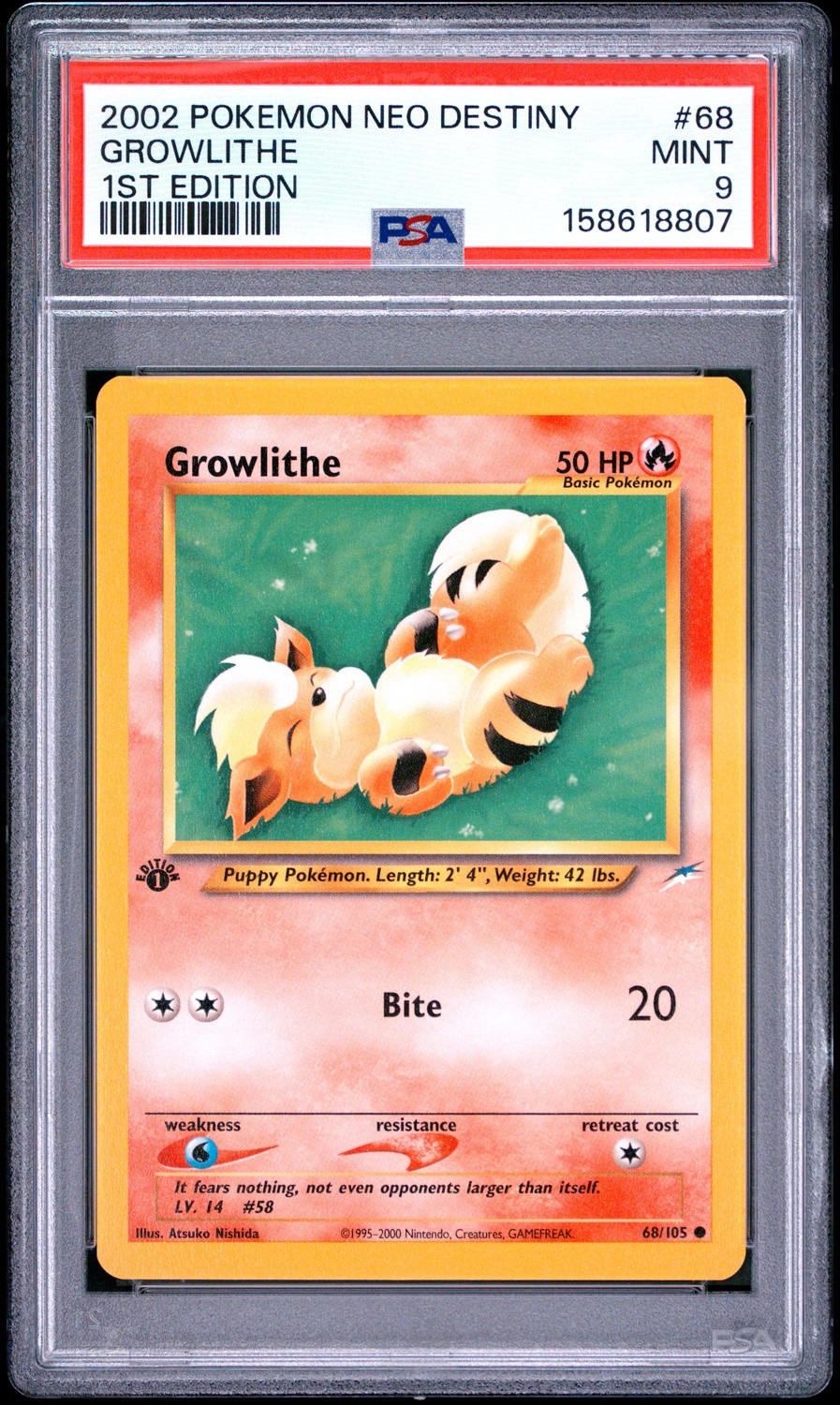 Growlithe