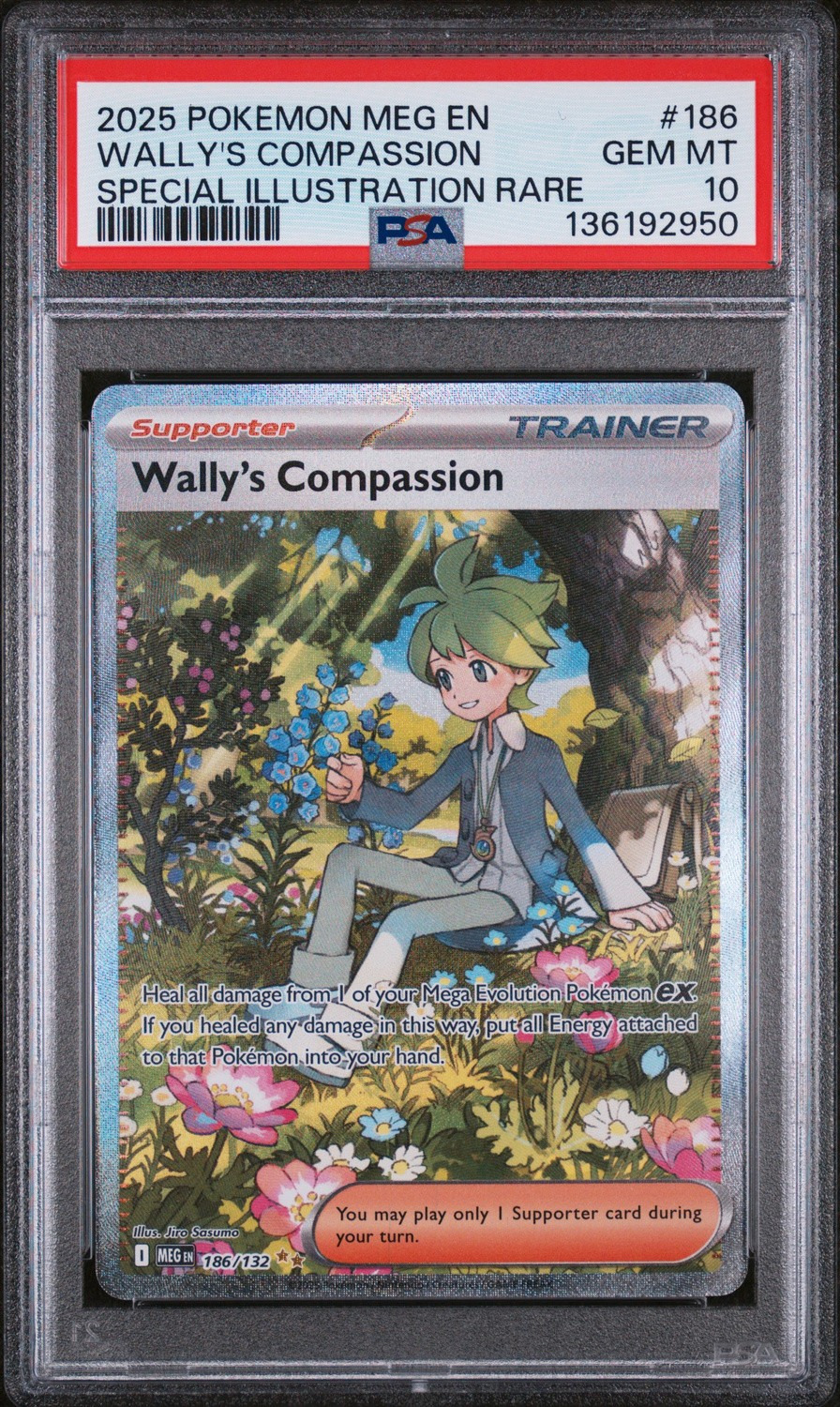 Wally's Compassion