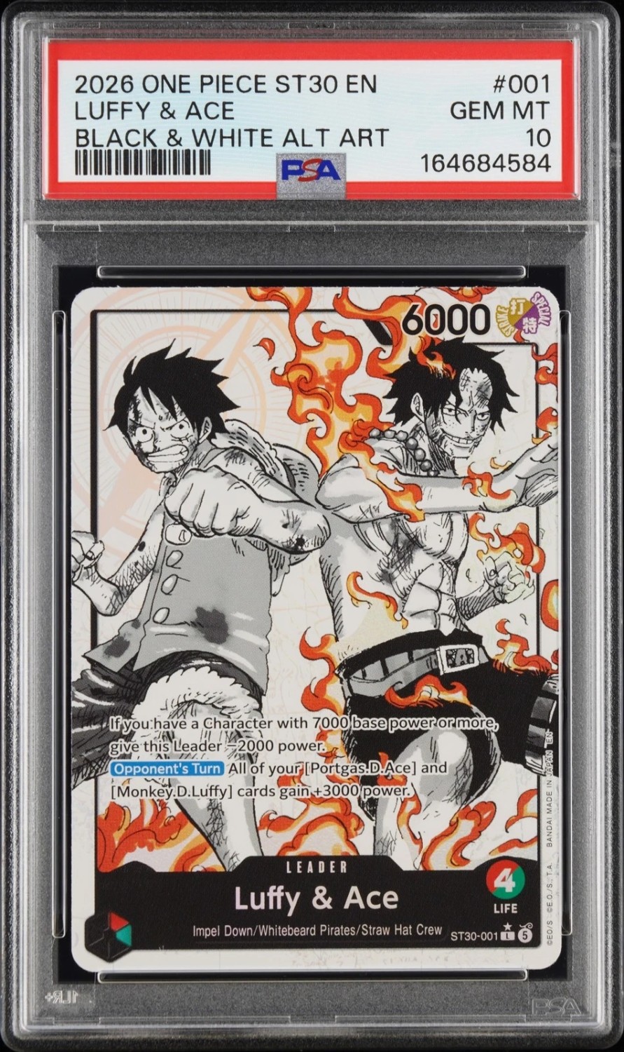 Luffy & Ace