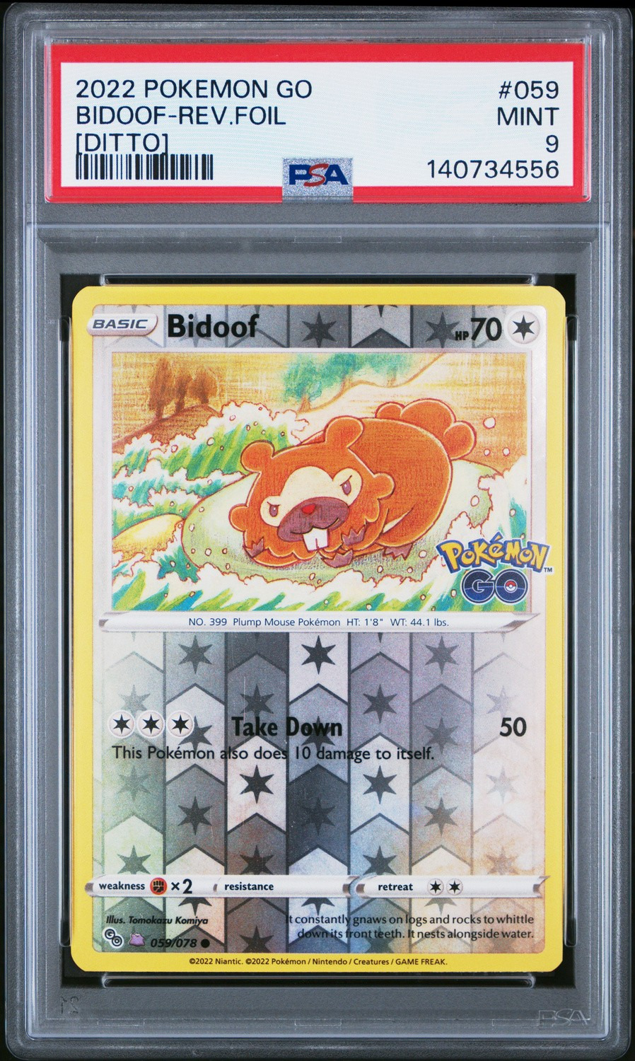 Bidoof