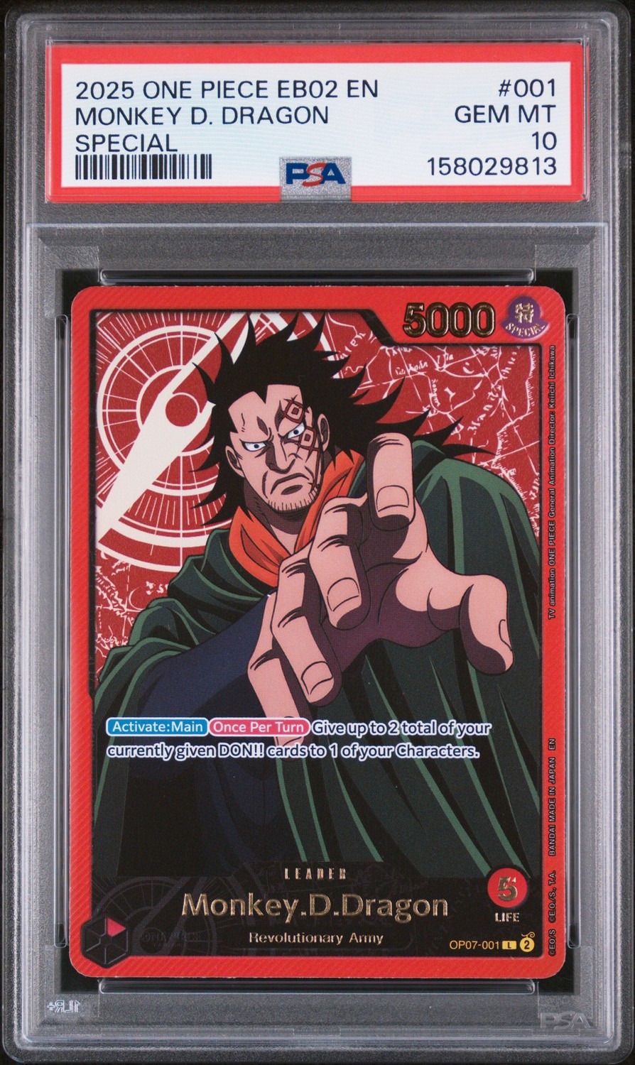 MONKEY D. DRAGON