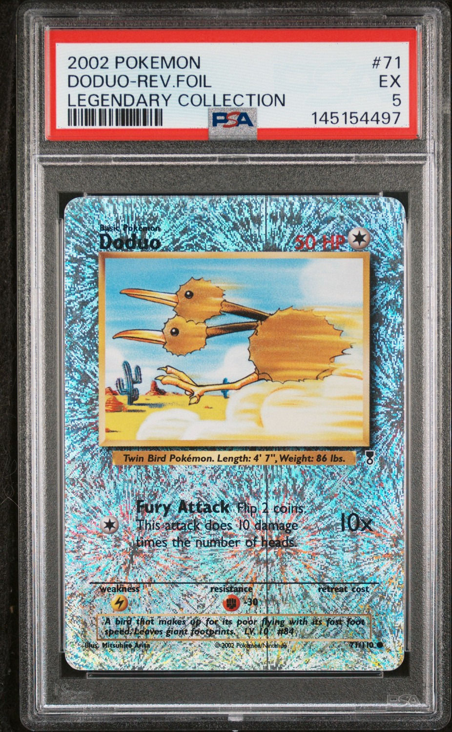 Doduo C
