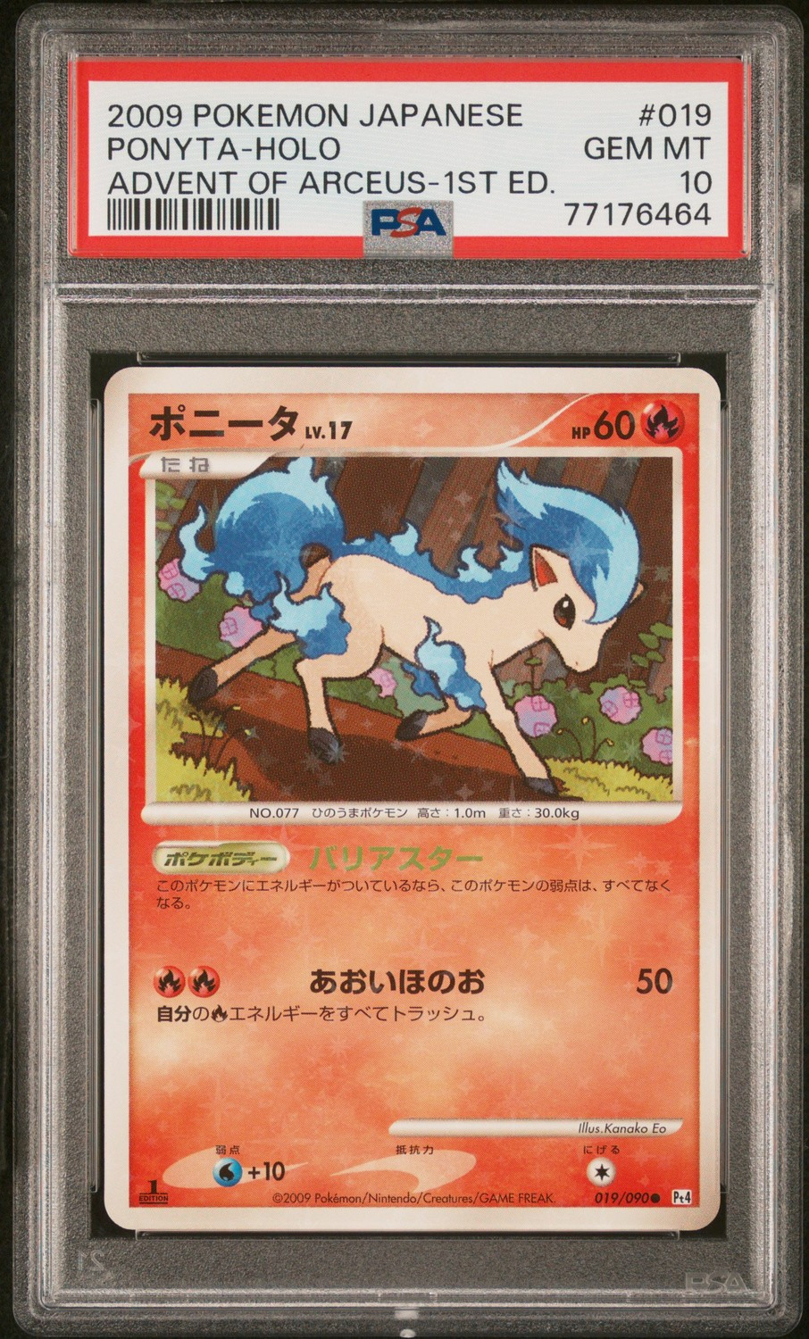 Ponyta