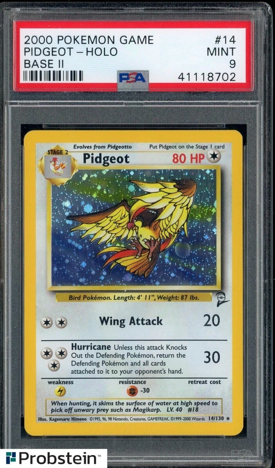 Pidgeot