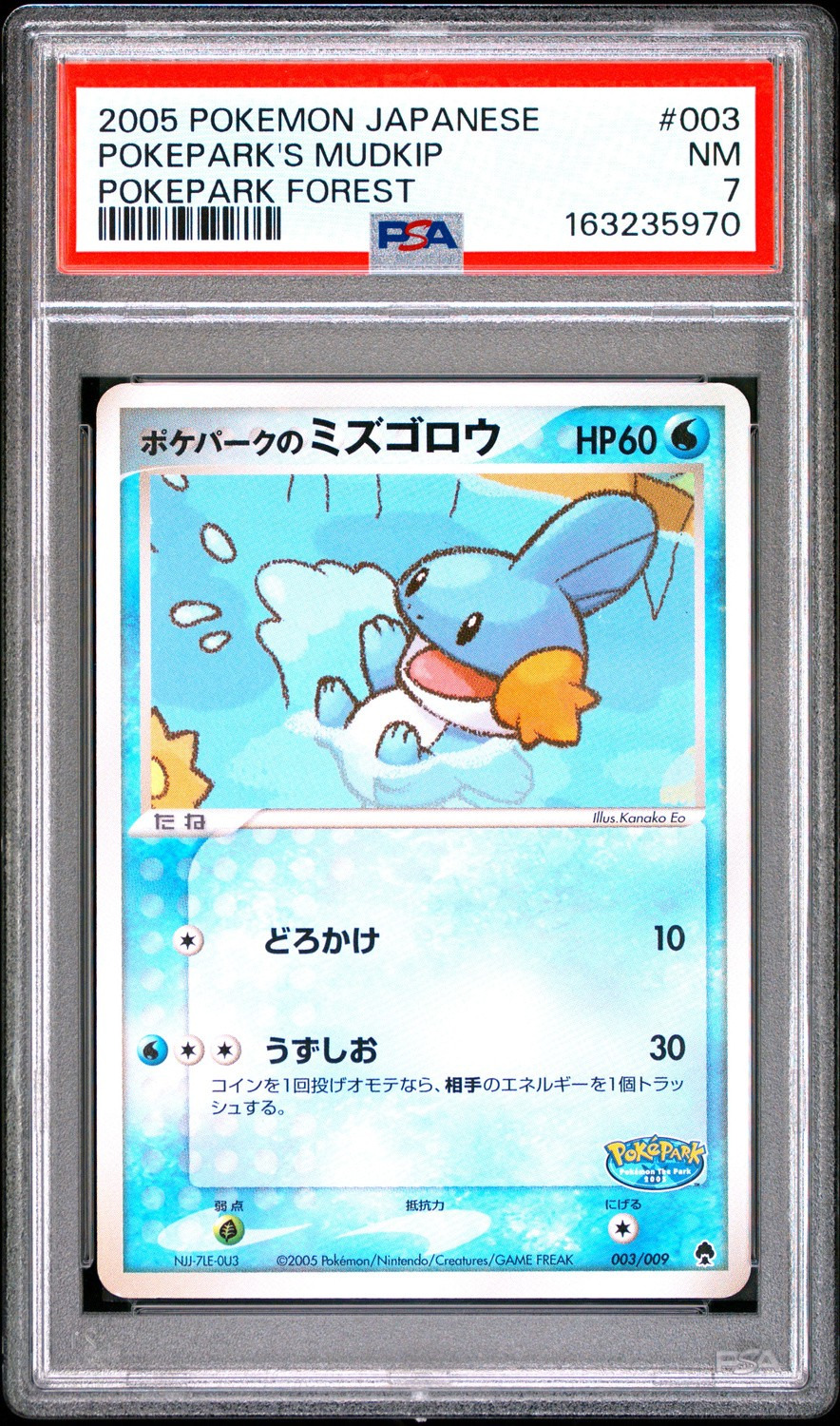 Pokepark's Mudkip