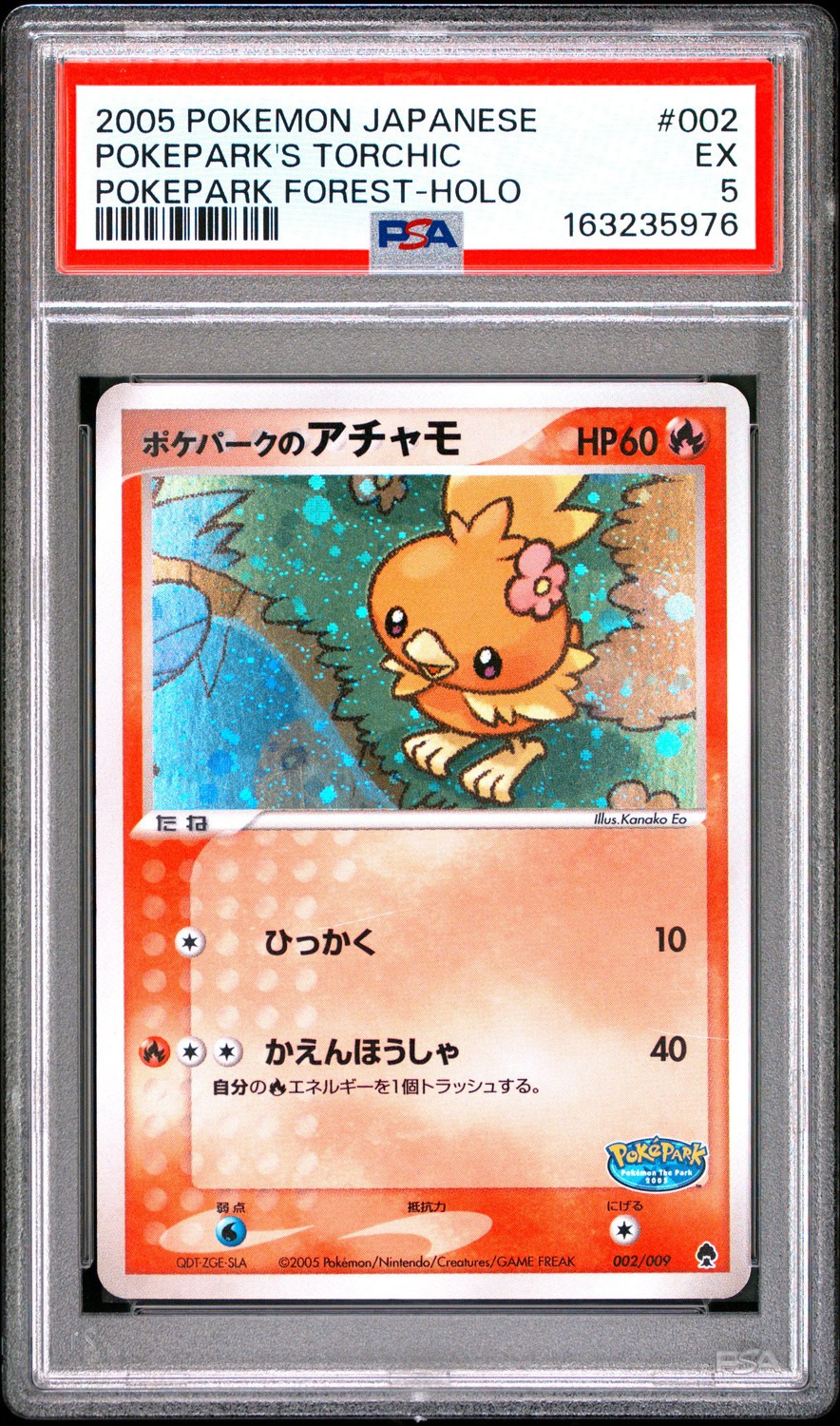 Pokepark's Torchic