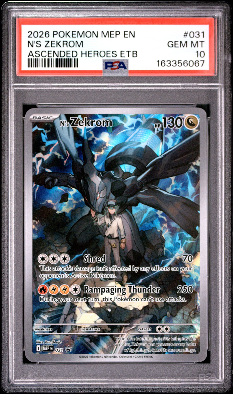 N'S ZEKROM