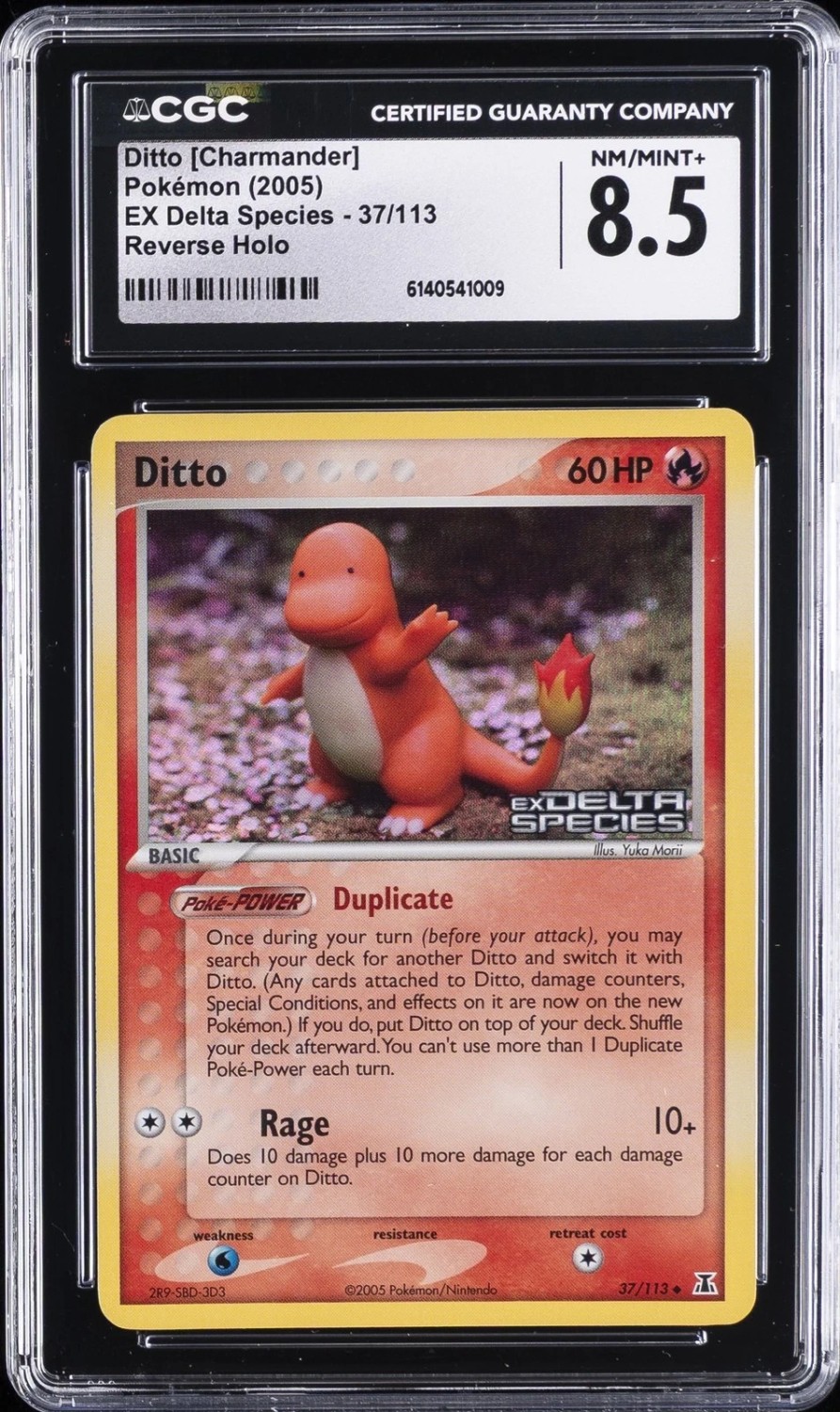 Ditto [Charmander]
