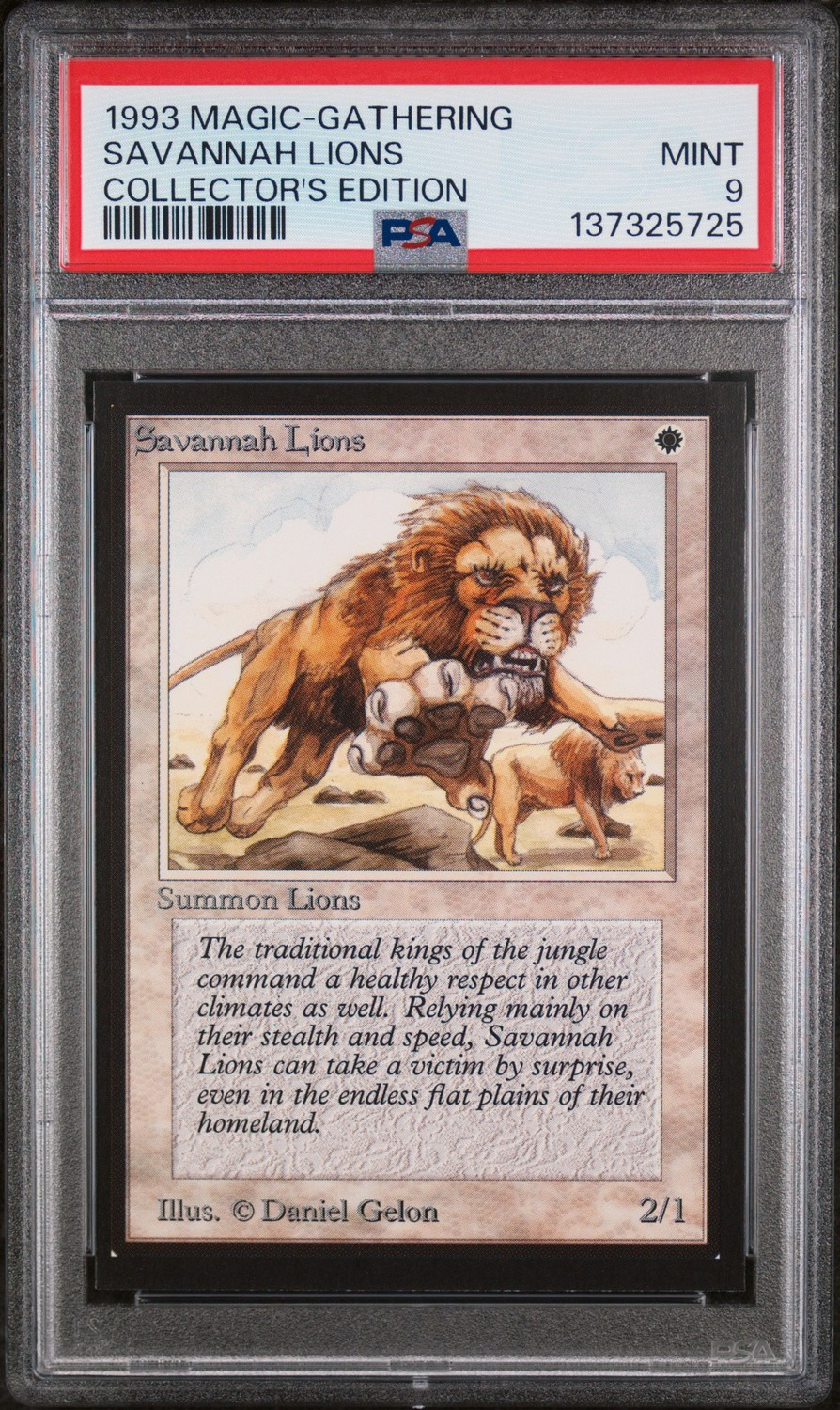 Savannah Lions