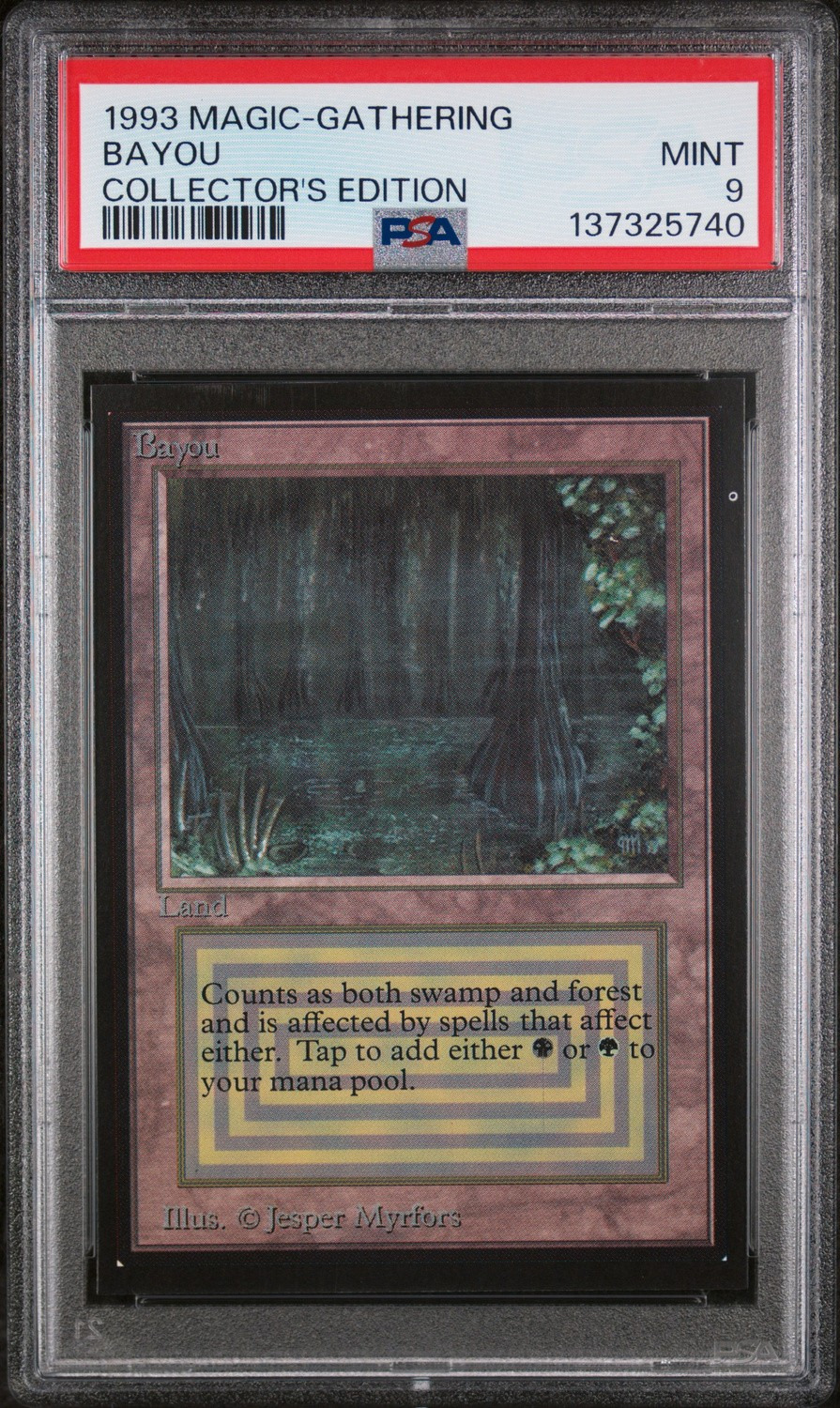 Bayou