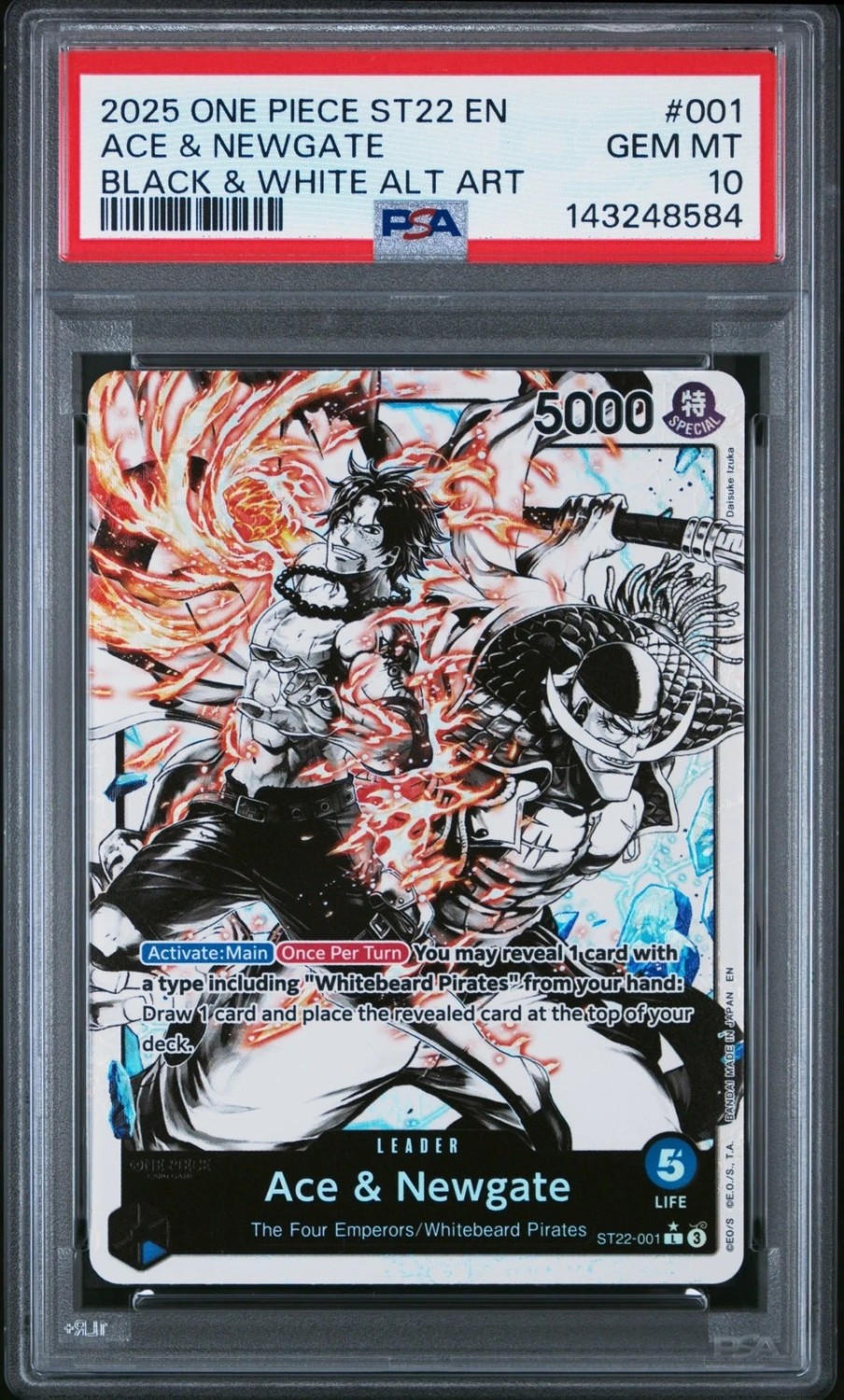 TCG Cards