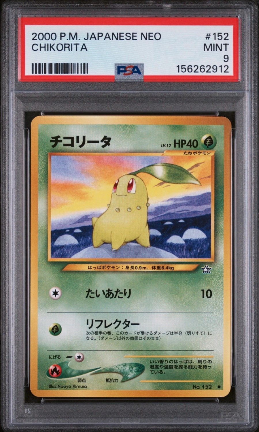 Chikorita