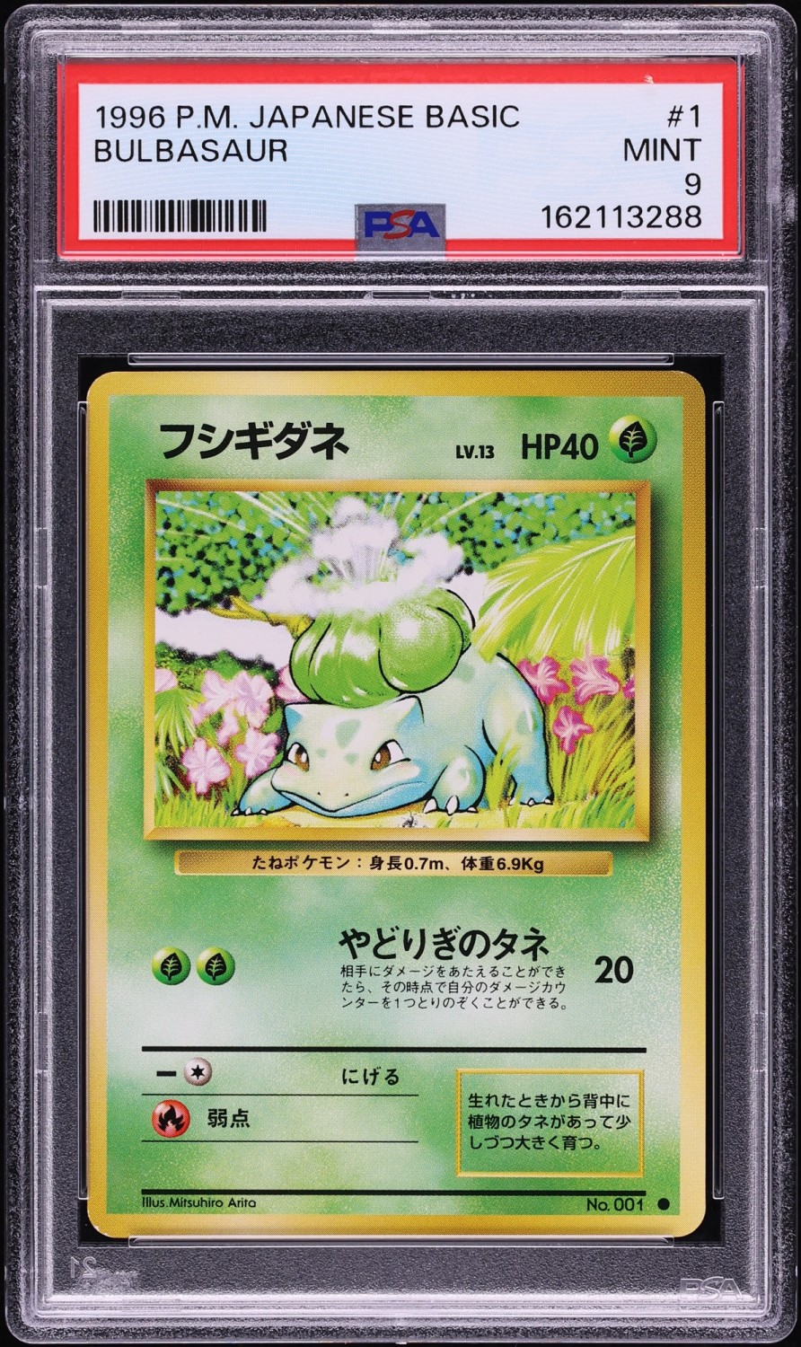 Bulbasaur