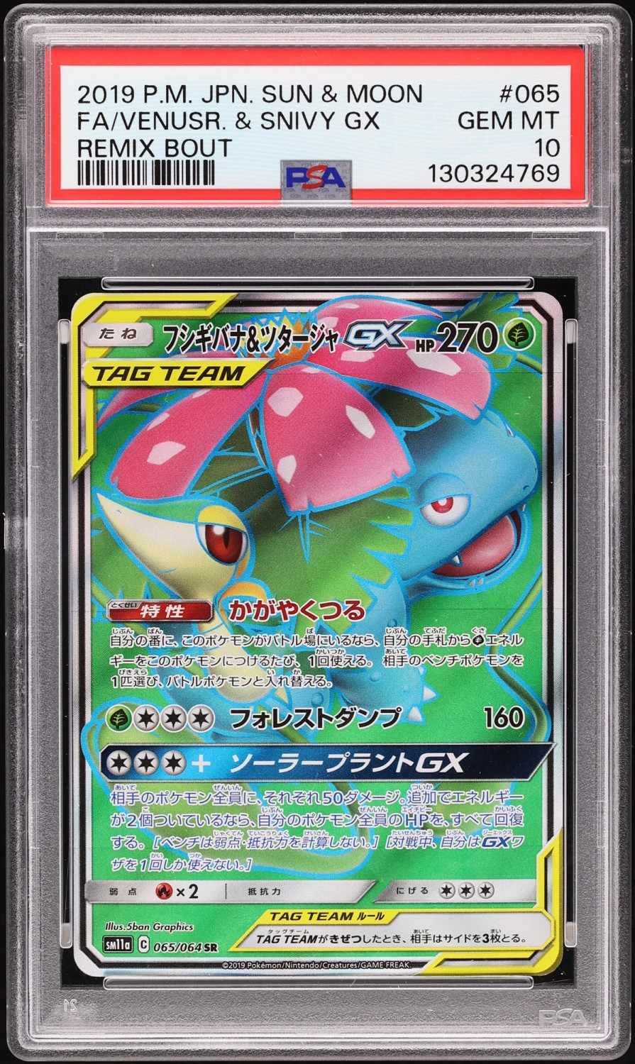 Venusaur & Snivy GX
