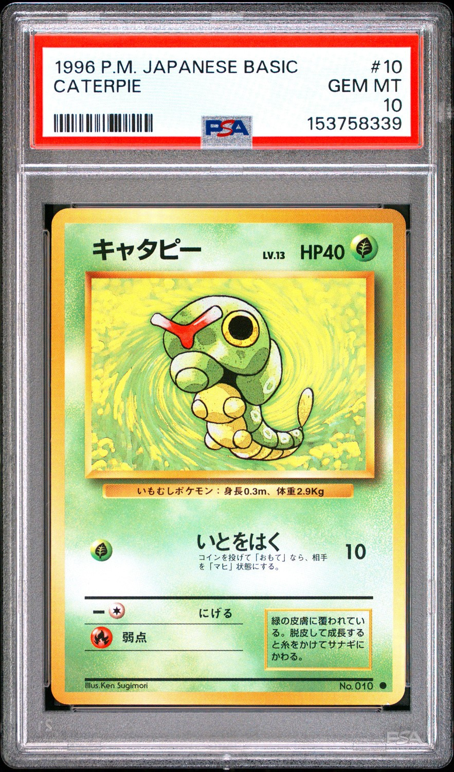 Caterpie