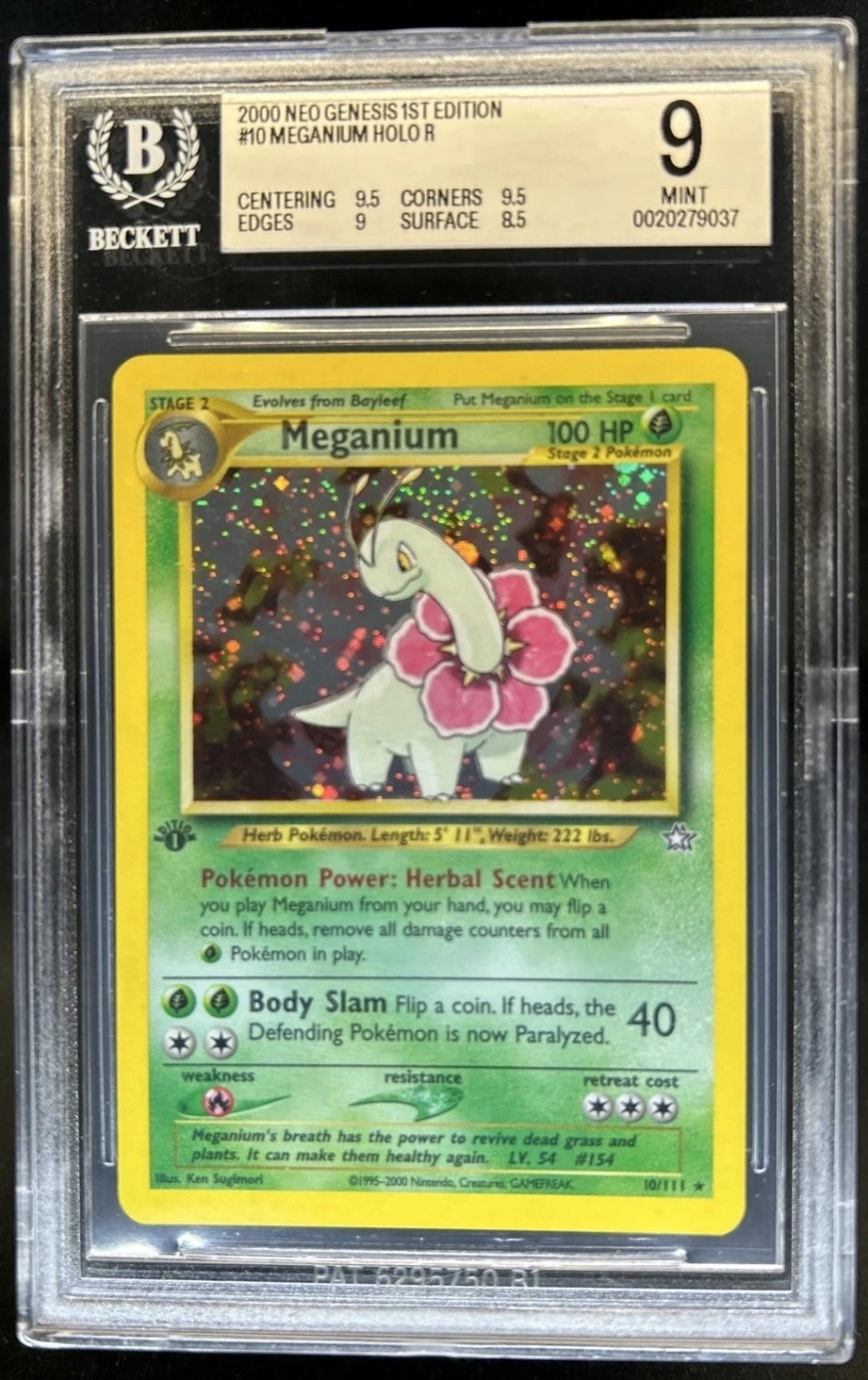 Meganium
