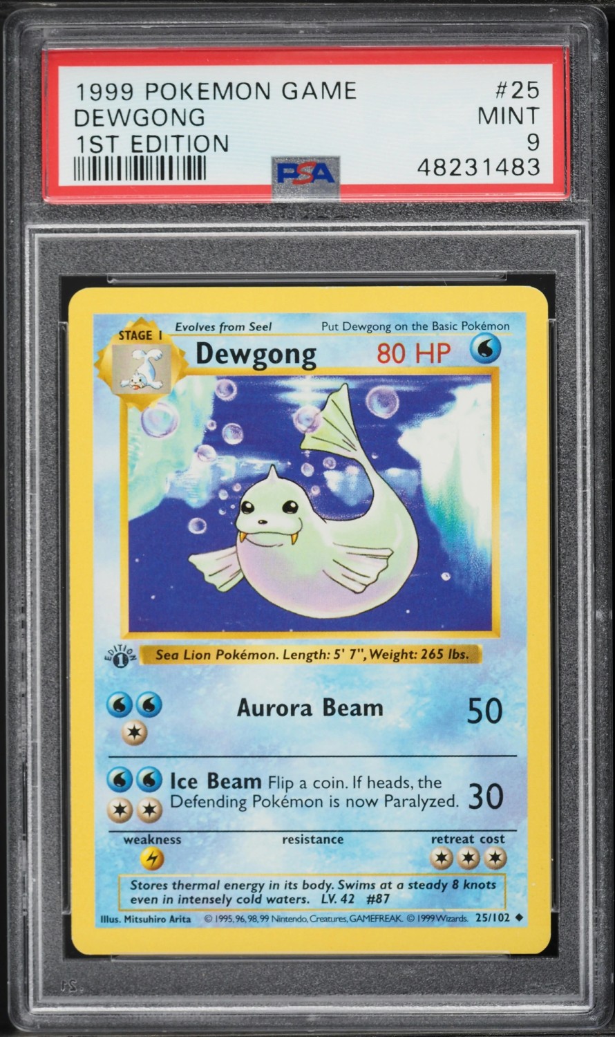 DEWGONG