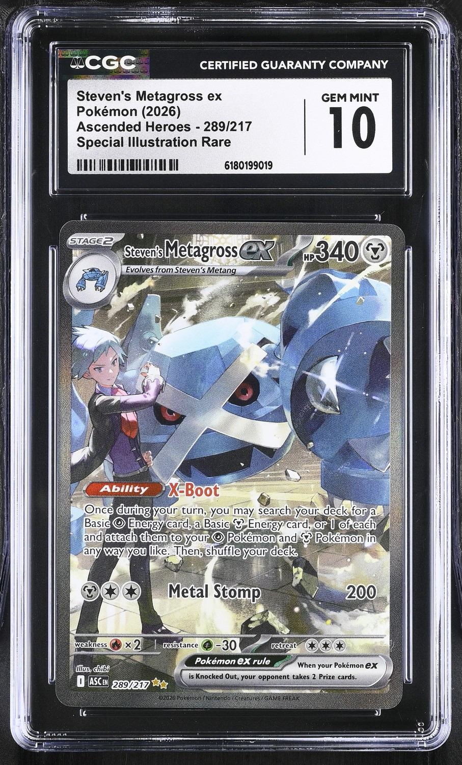STEVEN'S METAGROSS ex