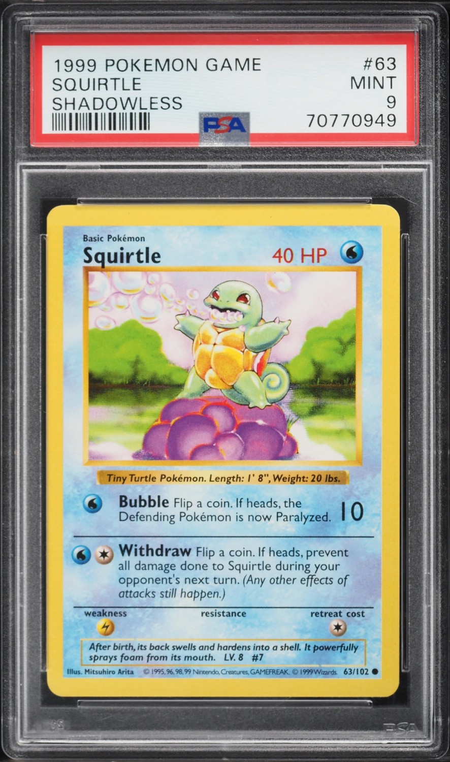 Squirtle
