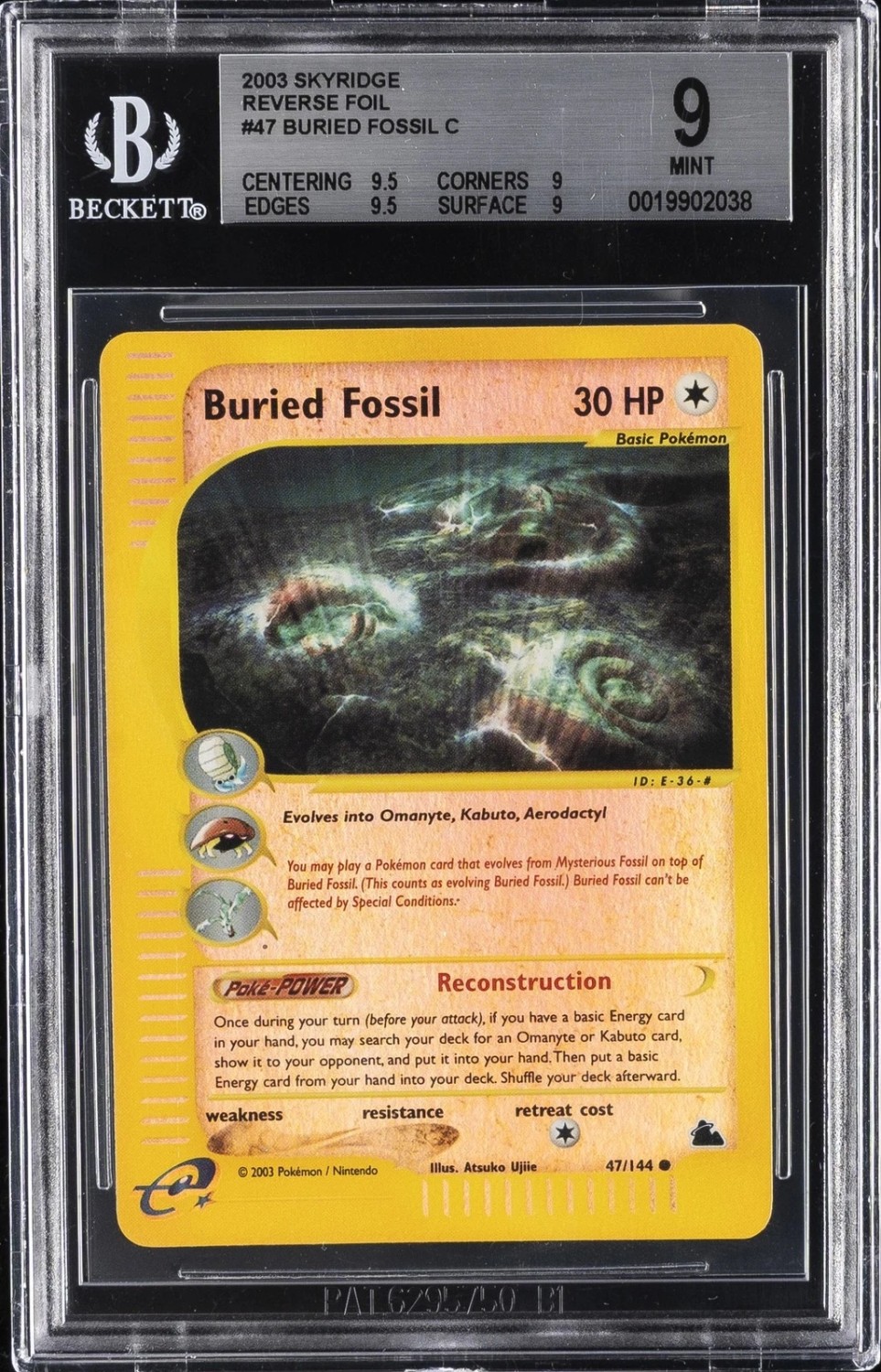Buried Fossil C