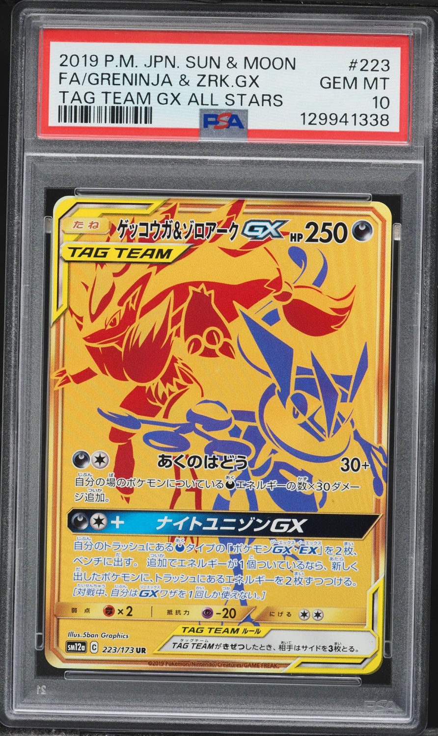 Greninja & Zoroark GX