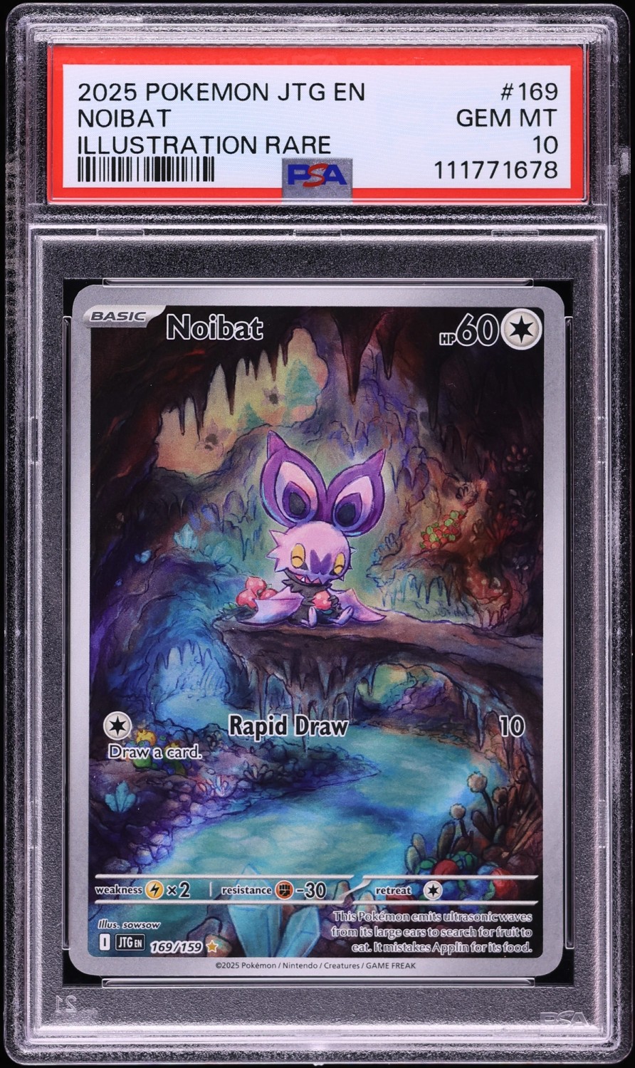 NOIBAT