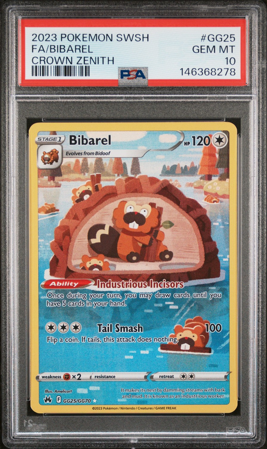 Fa/bibarel