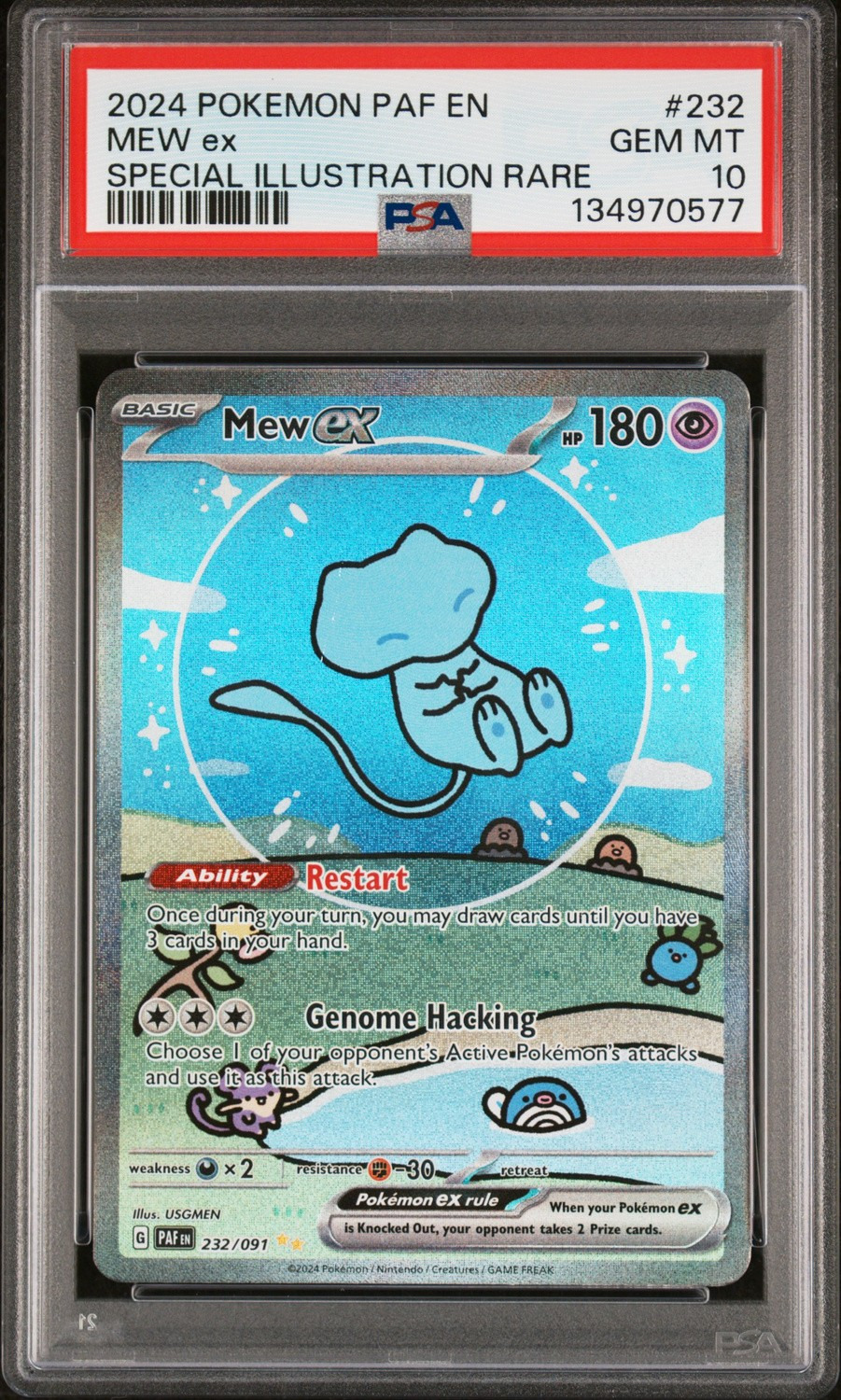 MEW ex