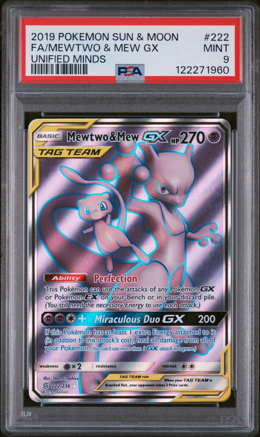 Mewtwo & Mew GX