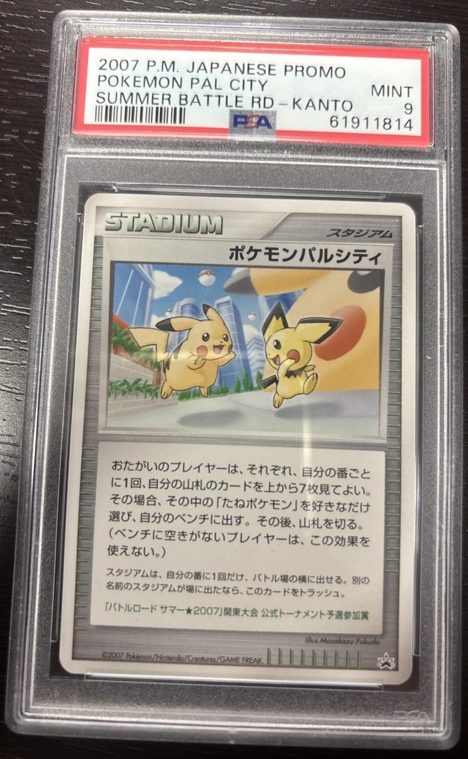 Pokémon Pal City