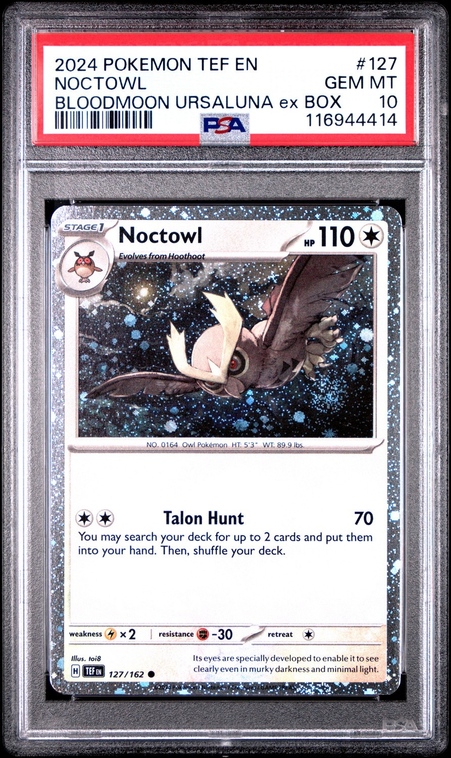 Noctowl
