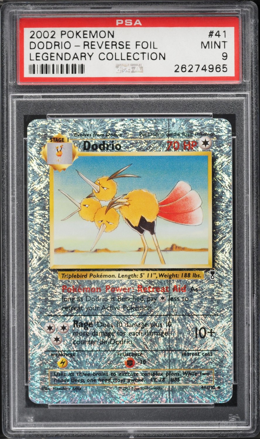 Dodrio