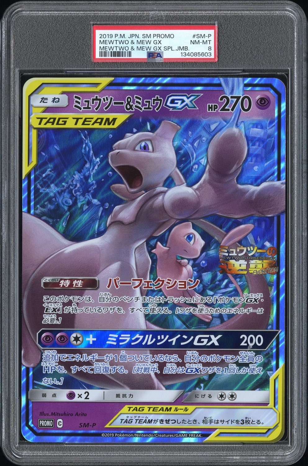 Mewtwo & Mew GX
