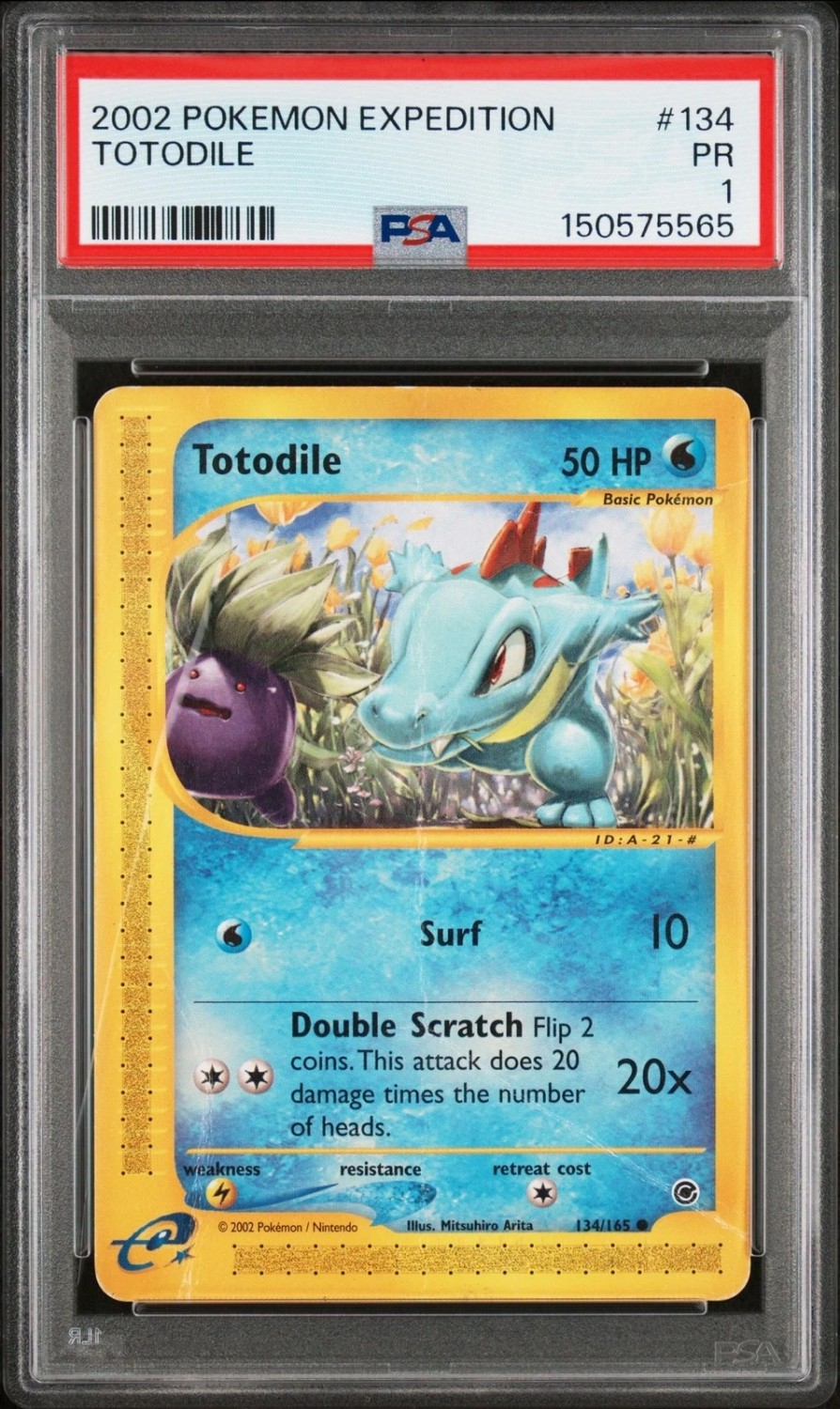 Totodile