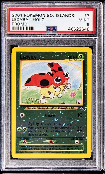 Ledyba