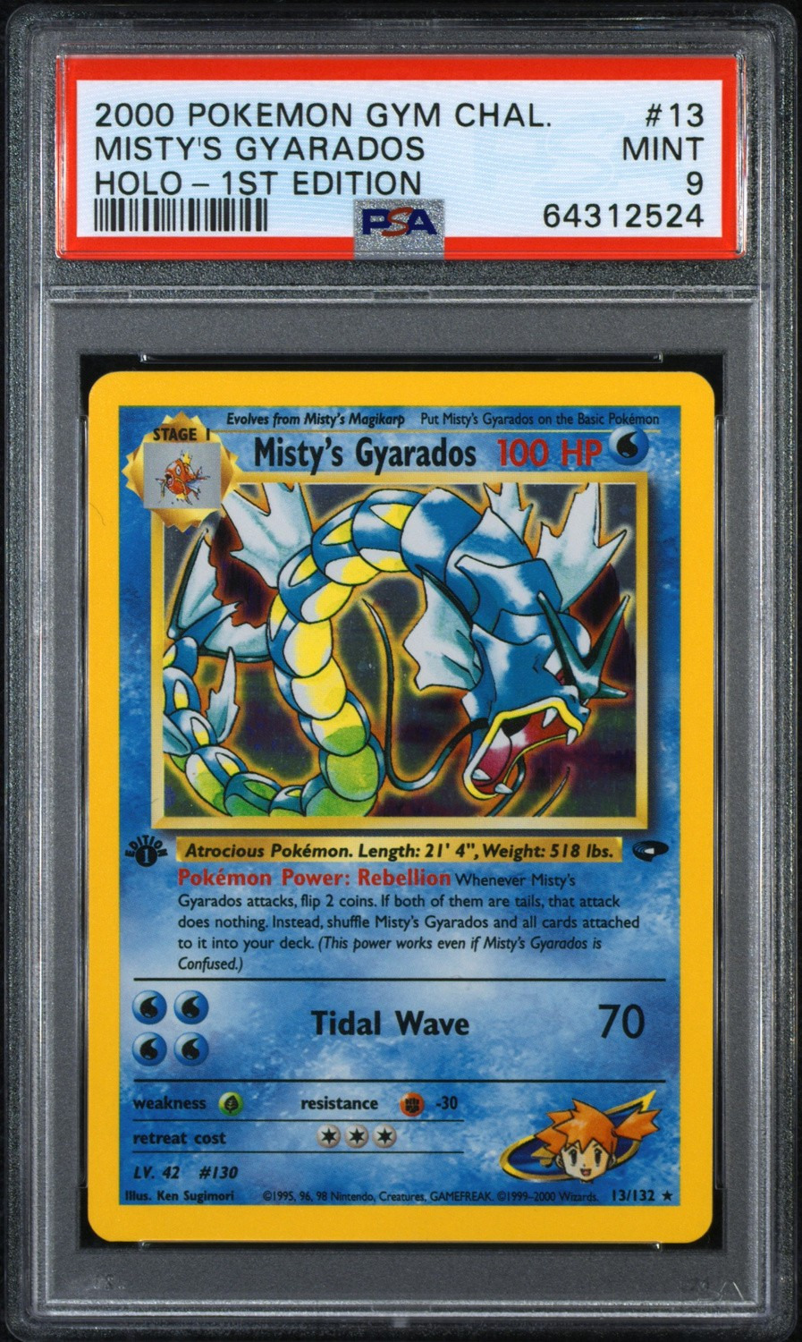 Misty's Gyarados