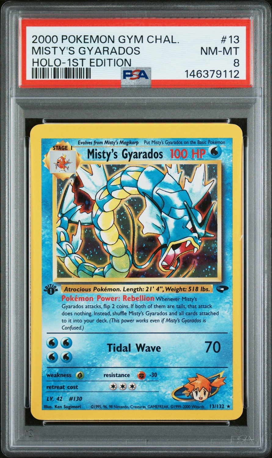 Misty's Gyarados