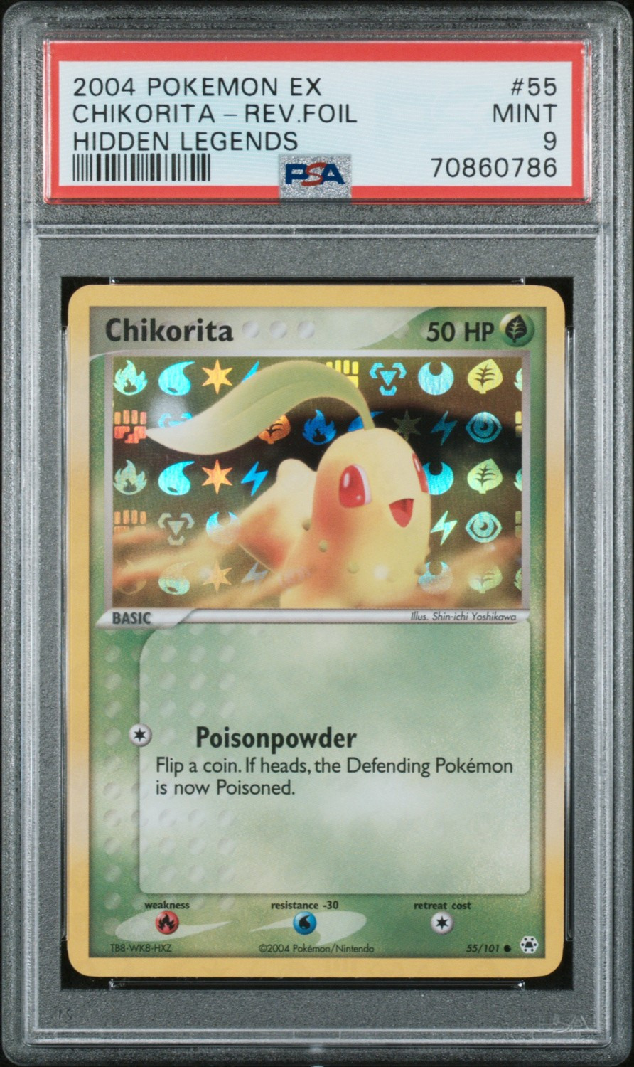 Chikorita