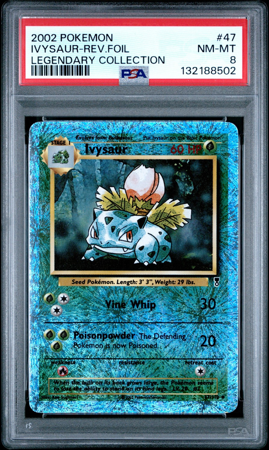 Ivysaur U