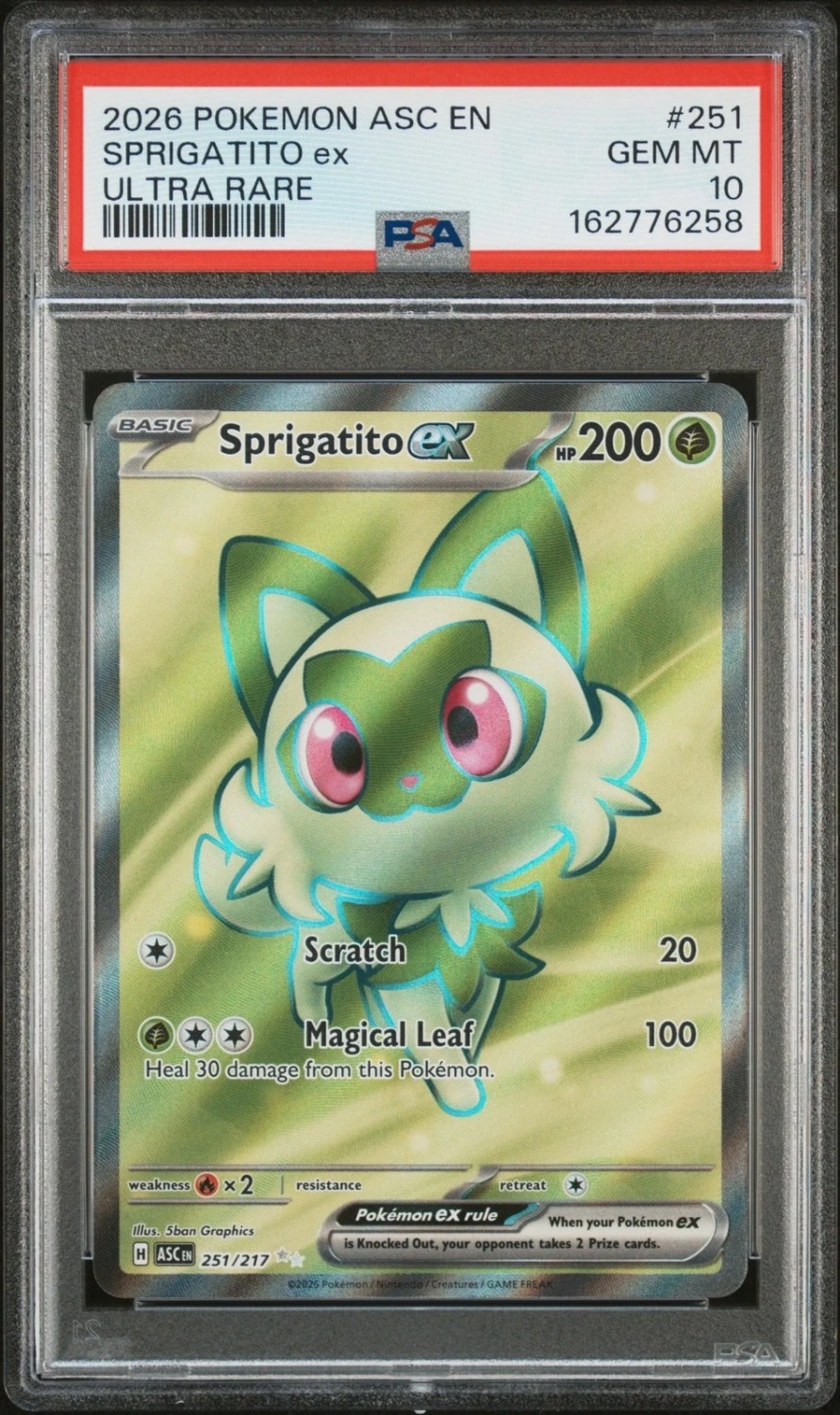 SPRIGATITO ex