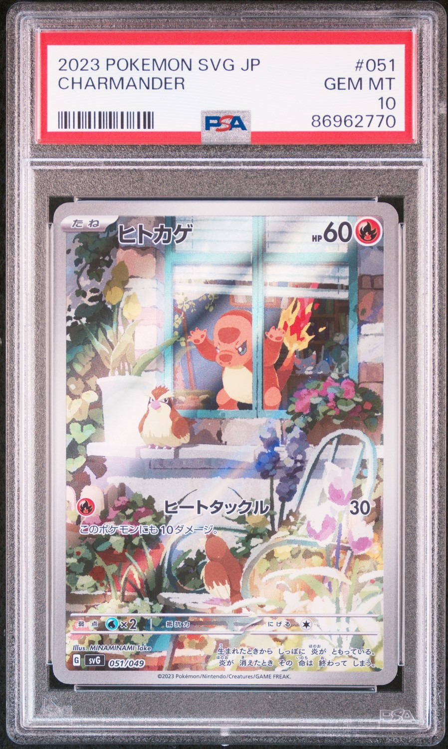 CHARMANDER