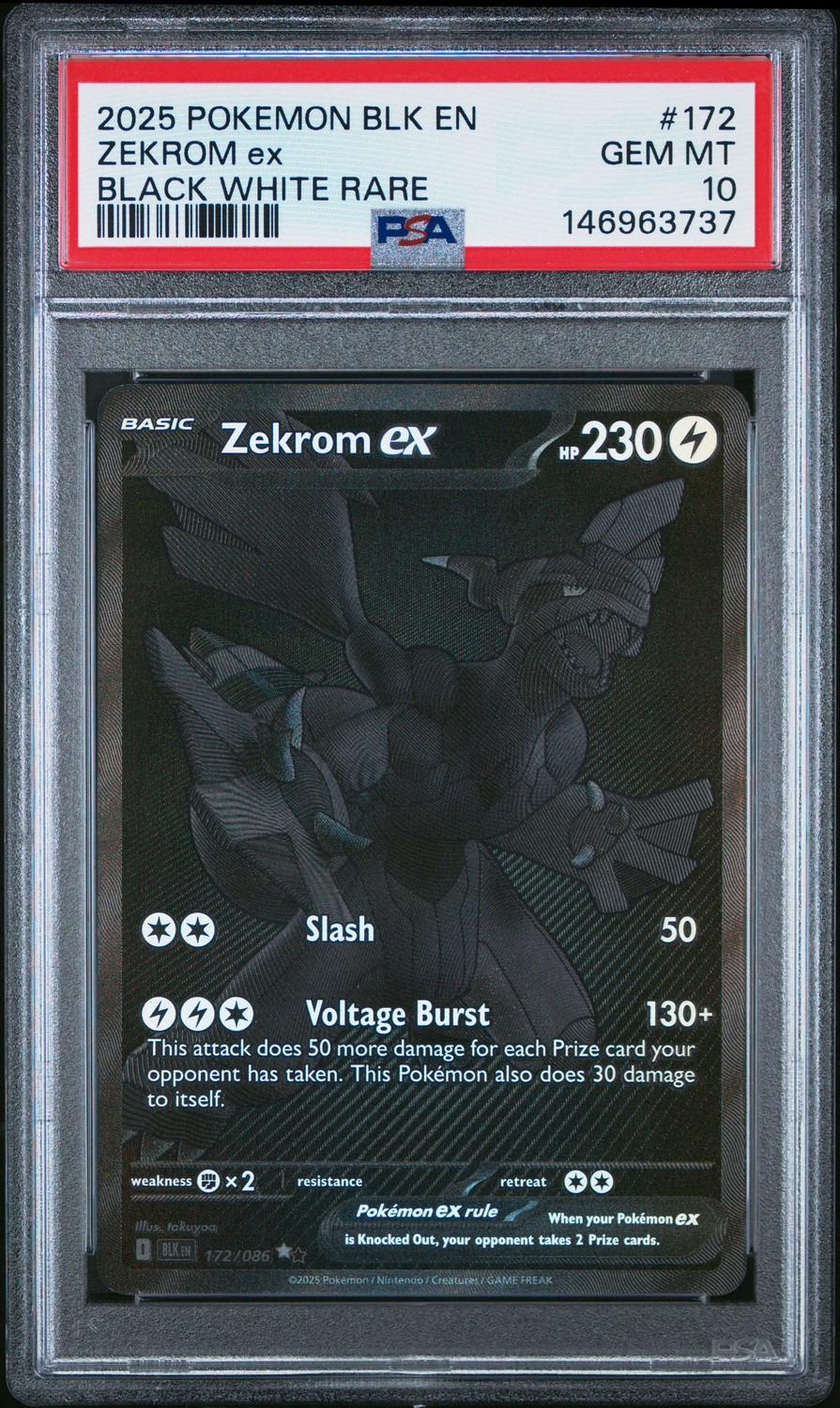 ZEKROM ex